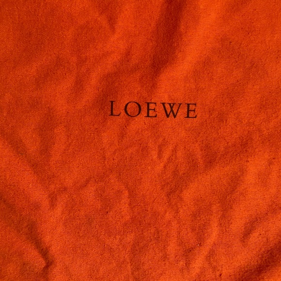 LOEWE Crossbody Satchel Bag - Picture 16 of 16